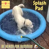 Fun in the Sun: Unleashing the Benefits of Doggy Paddling Pools and Sprinkler Mats