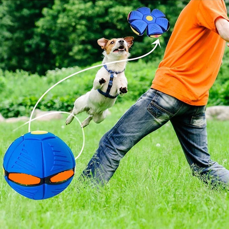 Unleashing the Fun The Benefits of Interactive Dog Toys The Happy
