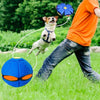Unleashing the Fun: The Benefits of Interactive Dog Toys