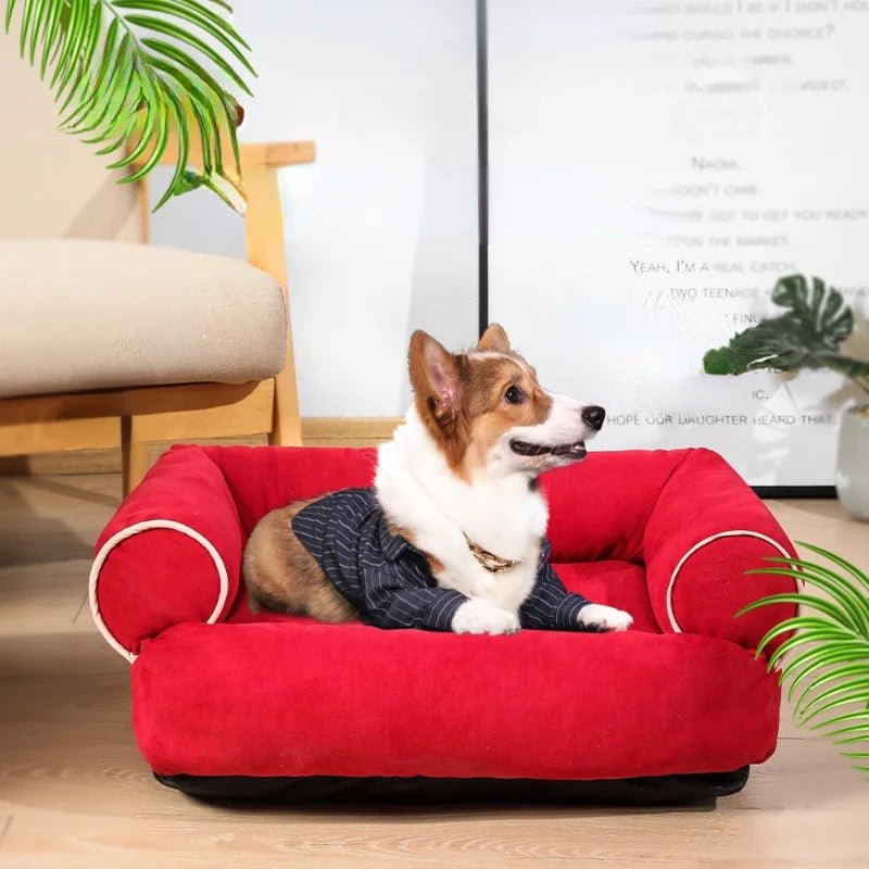 Dog Sofa Bed NEW The Happy Paw Store
