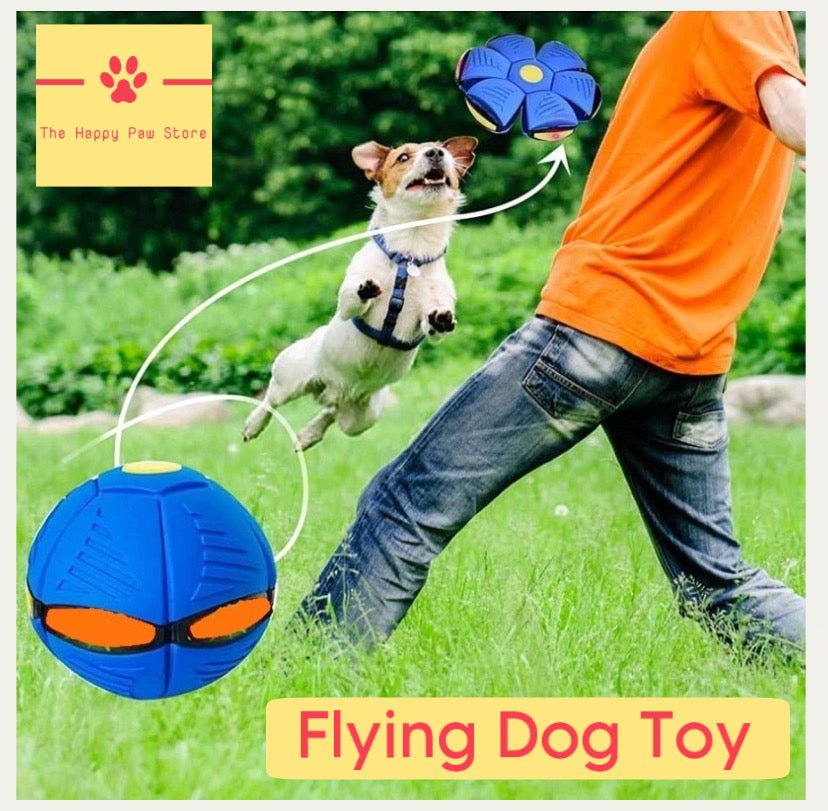Flying Saucer Dog Toy The Happy Paw Store