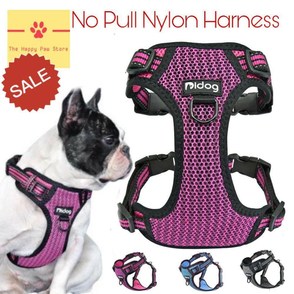 No Pull Dog Harness The Happy Paw Store