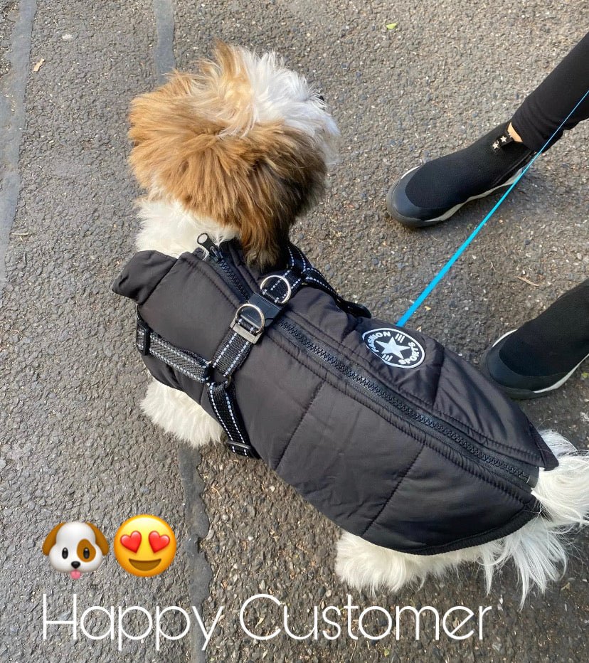 Waterproof Jacket with Harness - All Breeds