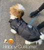 Waterproof Jacket with Harness - All Breeds