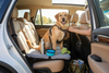 Dog enjoying a car ride with essential pet travel accessories for safe and comfortable adventures