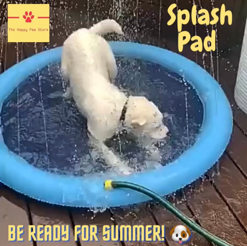 Fun in the Sun Unleashing the Benefits of Doggy Paddling Pools and Sp