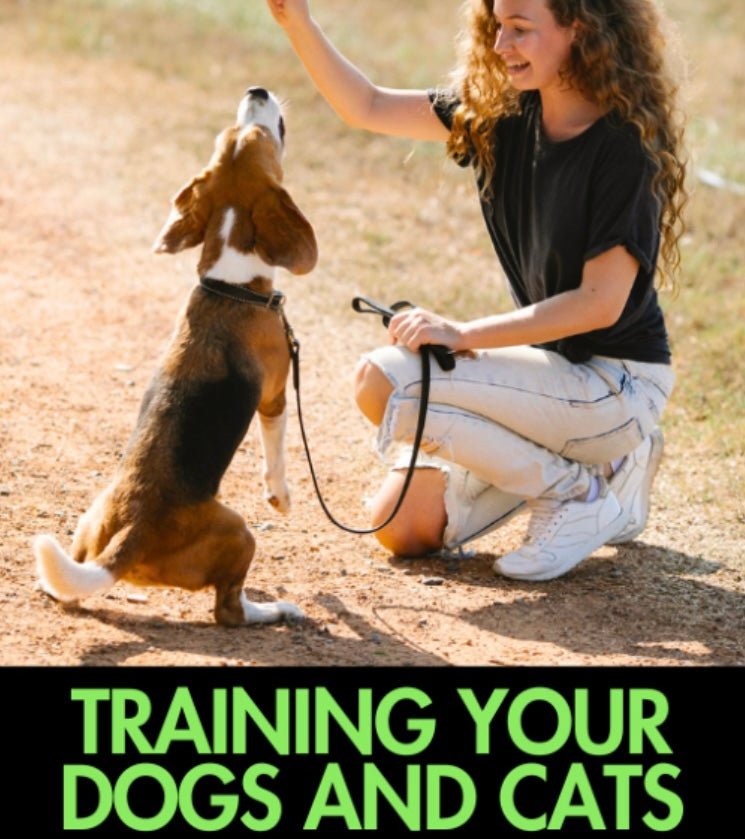 Transform Your Pet’s Behavior with the Ultimate Guide – Training Dogs ...