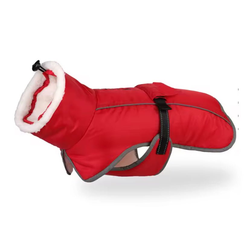 Large Dog Jacket