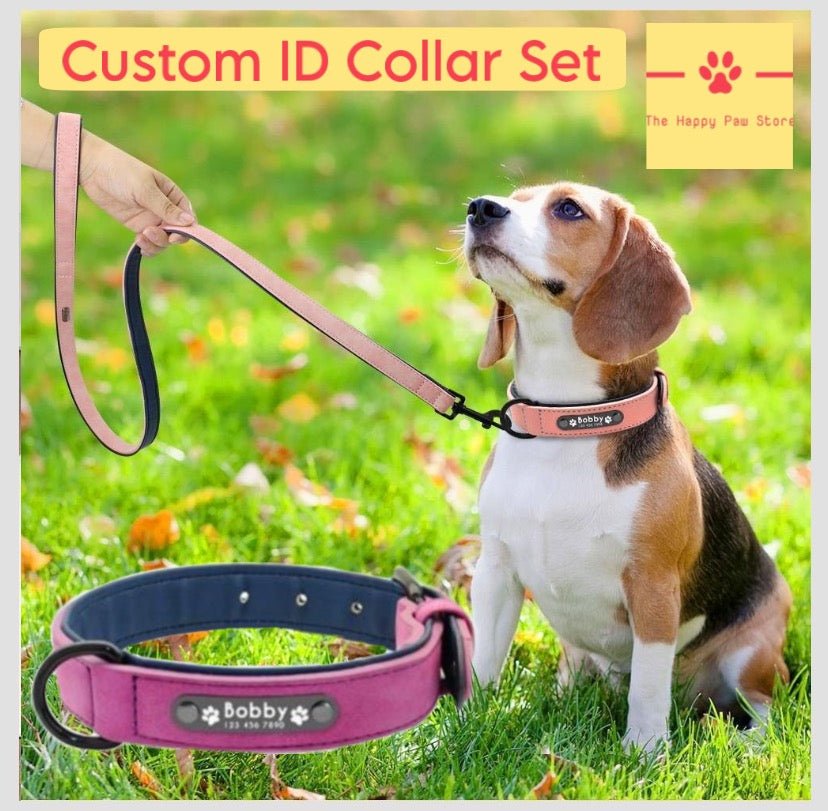 Leather ID Dog Collar / Leather Lead