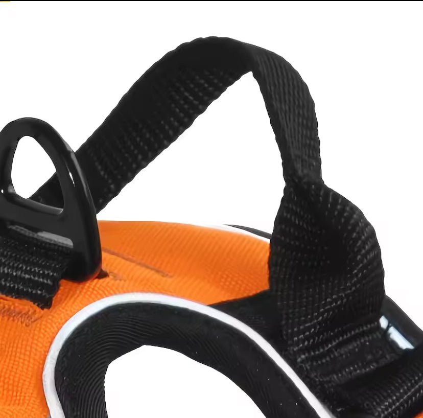 No Pull Dog Harness