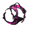 No Pull Dog Harness