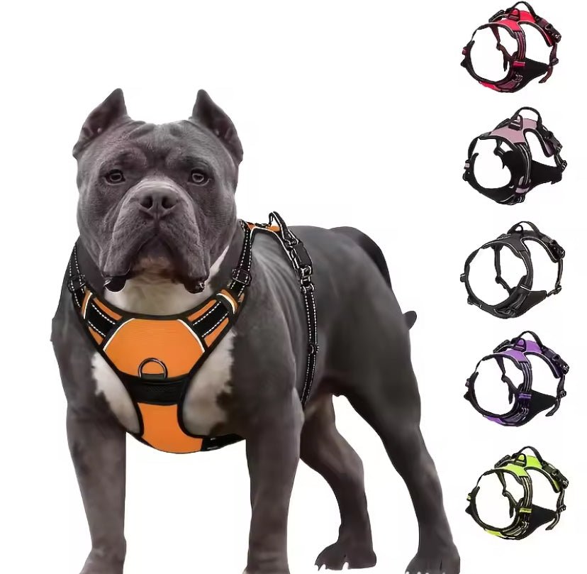 Dog Harness Padded No Pull Dog Harness Wth Handle and Front - Etsy Dog Harness Padded No Pull Dog Harness Wth Handle and Front - Etsy