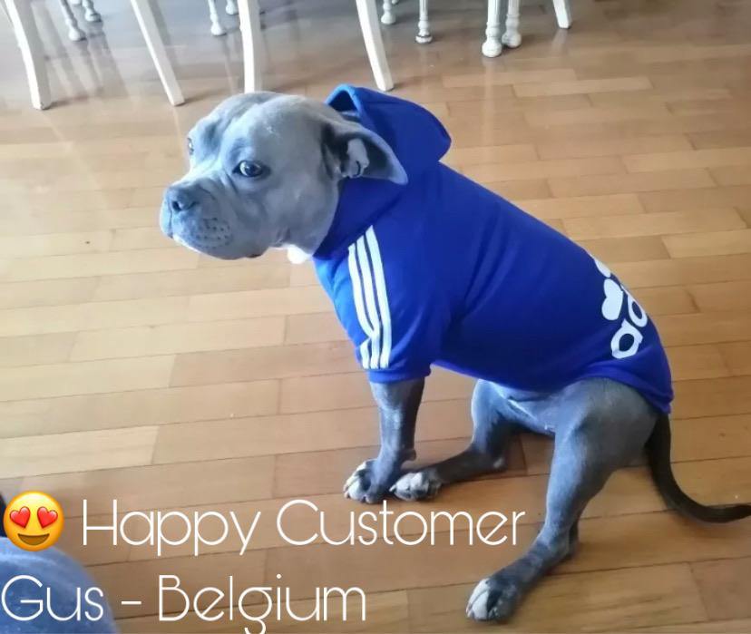 adidog hoodie