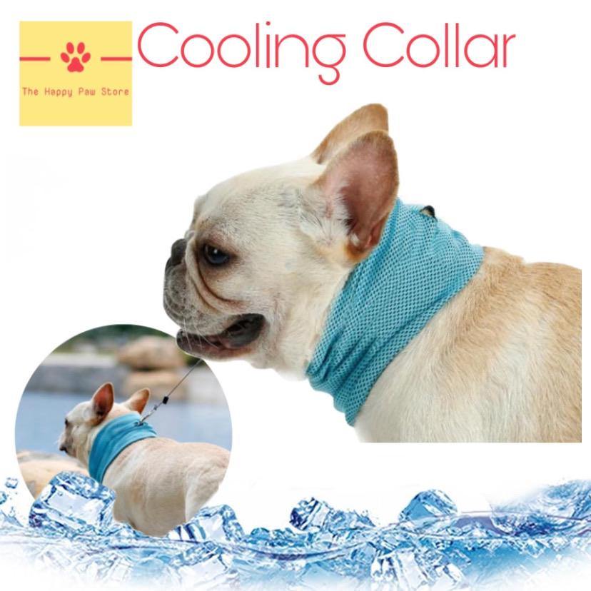 Dog Cooling Collar