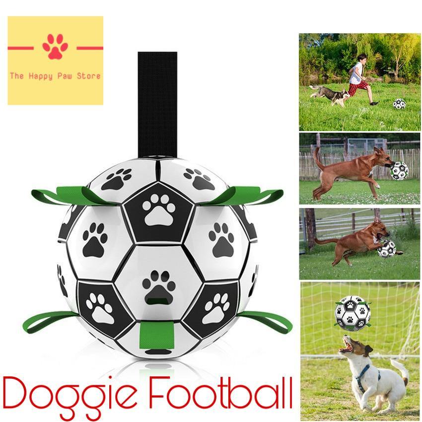 Football pour chiens