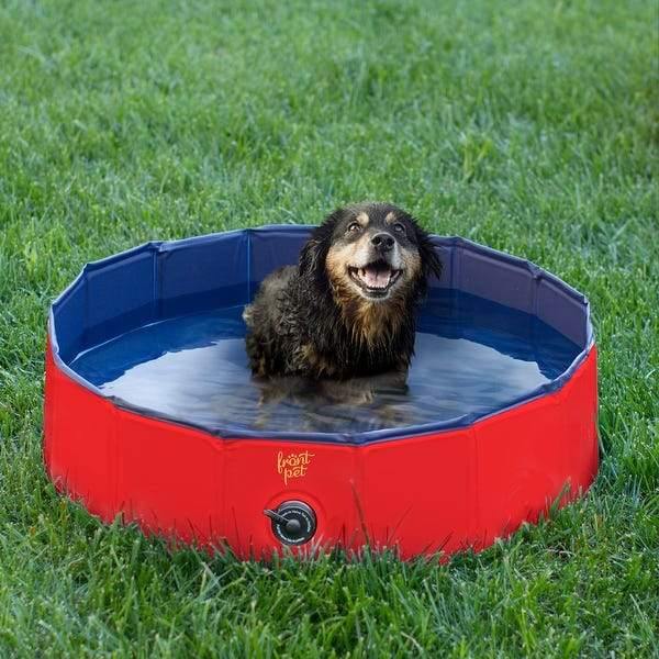 Dog Swimming Pool, Summer Dog Toy