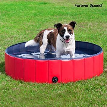 Dog Swimming Pool, Summer Dog Toy