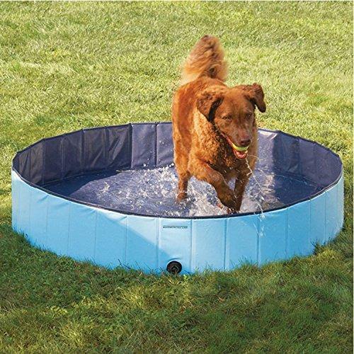 Dog Swimming Pool, Summer Dog Toy