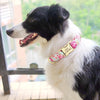 Load image into Gallery viewer, Engraved Nylon Dog Collar