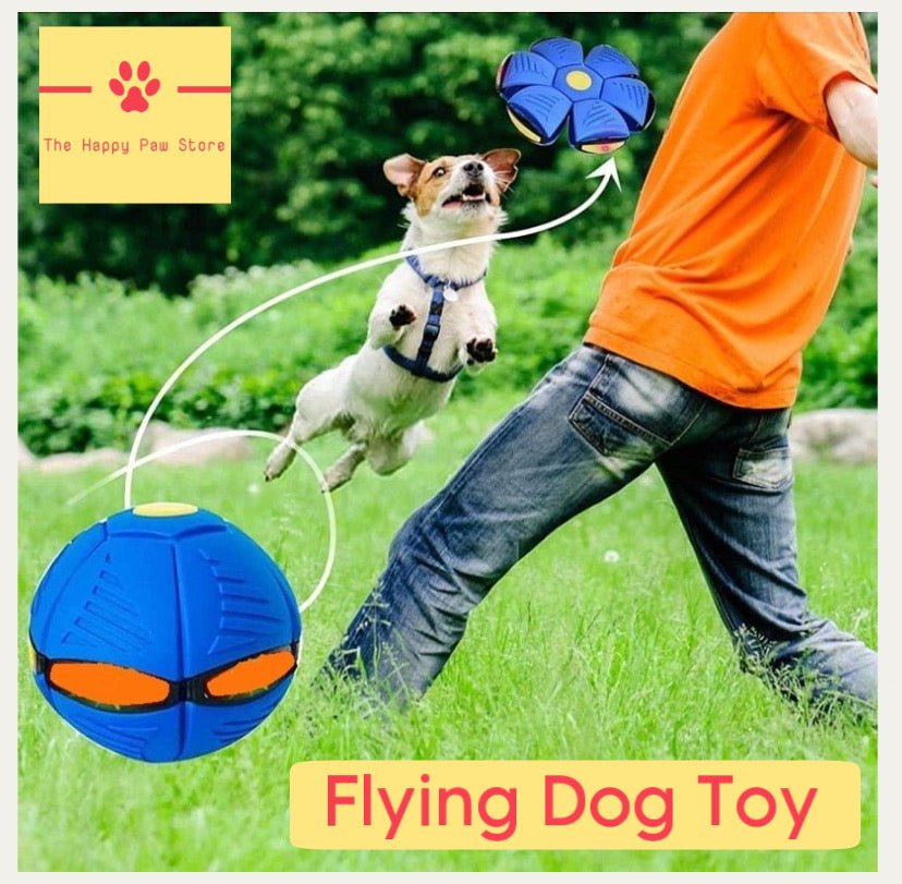 Flying Saucer Dog Toy