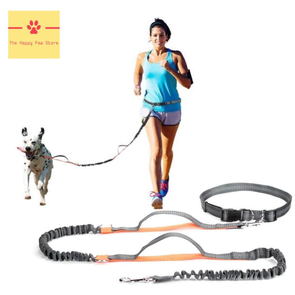 Hands Free Dog Lead For Running - The Happy Paw Store