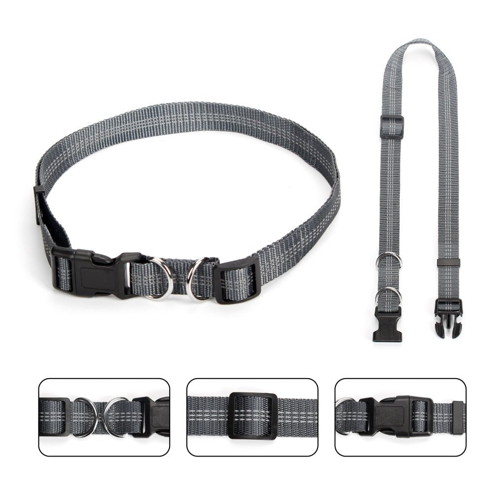 Hands Free Dog Lead For Running