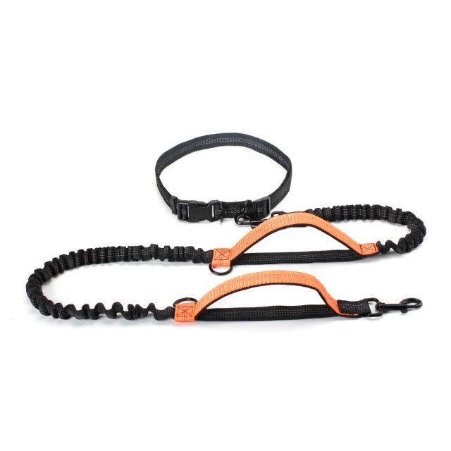 Hands Free Dog Lead For Running