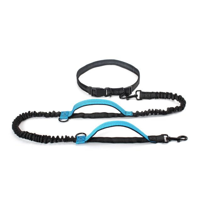 Hands Free Dog Lead For Running
