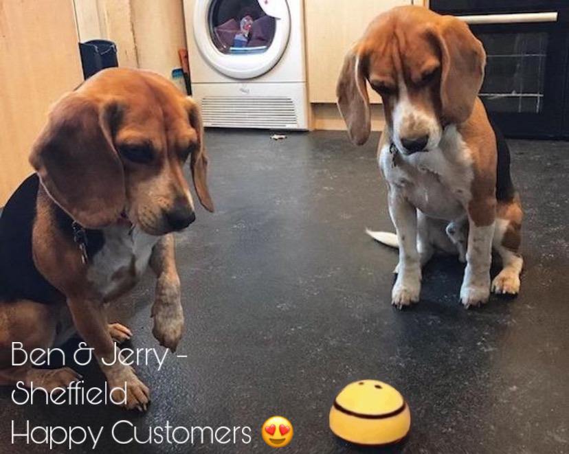 Honden Speeltjes Met Piepgeluid Honden Speeltjes Met Piepgeluid