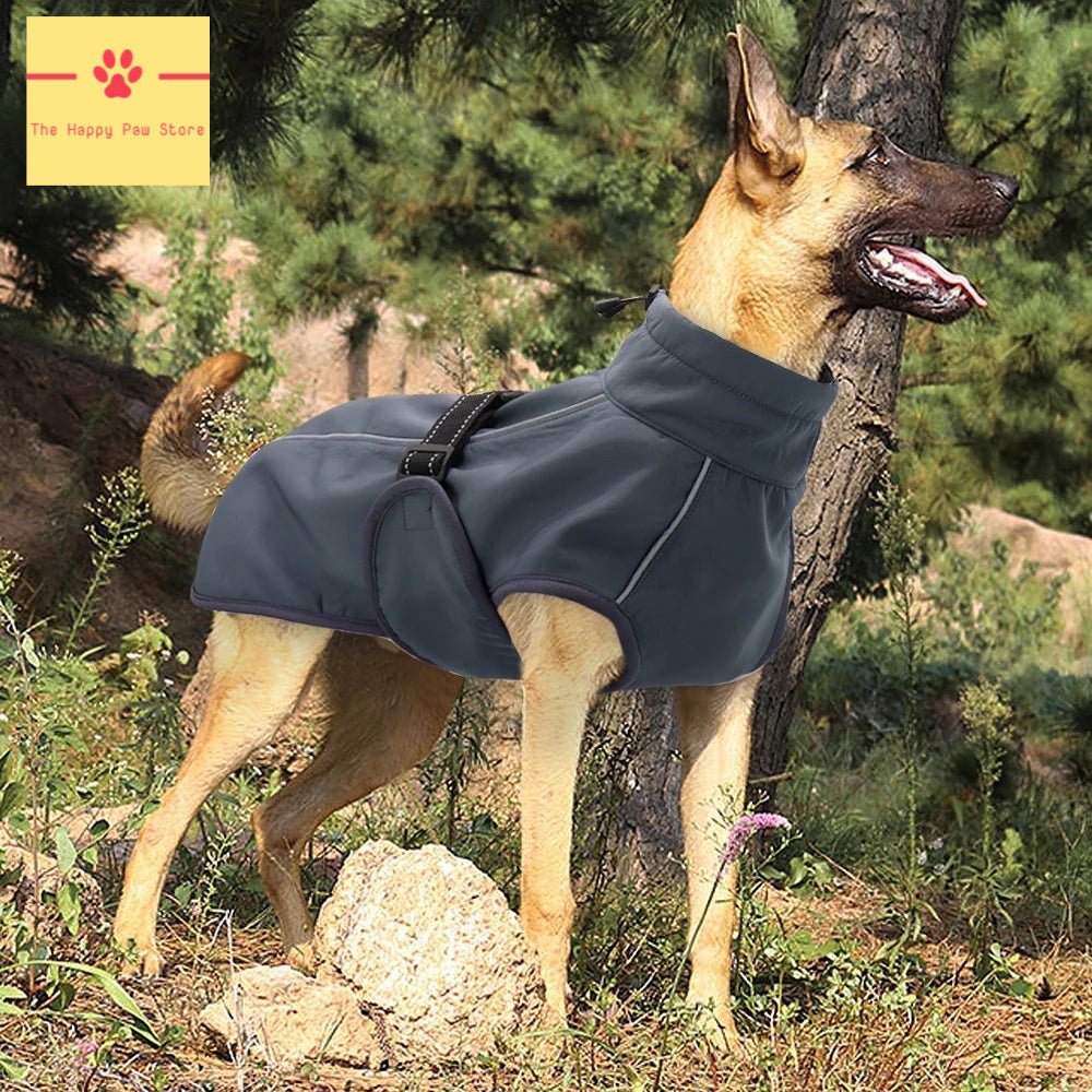 Veste pour grand chien