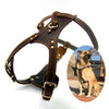 Leather Dog Harness