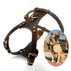 Load image into Gallery viewer, Leather Dog Harness