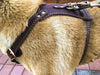 Cargar imagen en el visor de la galería, Leather Dog Harness