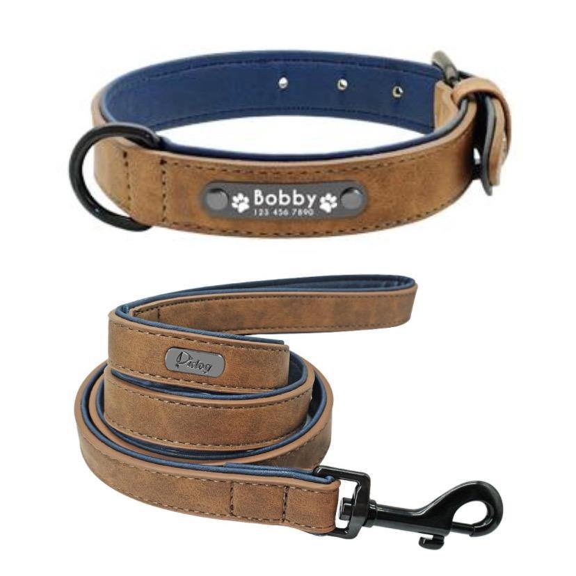 Leather Dog Collar and lead