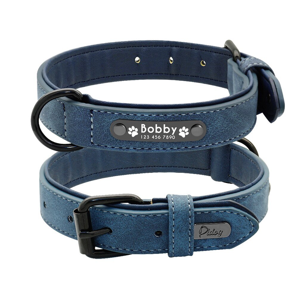 Leather Dog Collar and lead