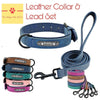 Leather Dog Collar and lead