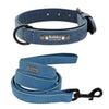 Leather Dog Collar and lead