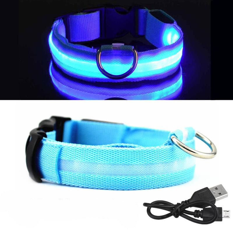 Collier de chien LED