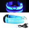 LED Dog Collar