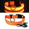 Collier de chien LED