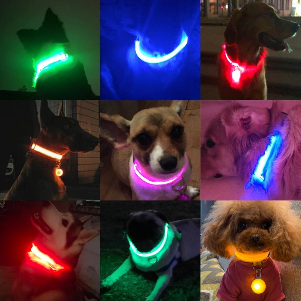 LED Dog Collar