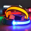 LED Dog Collar