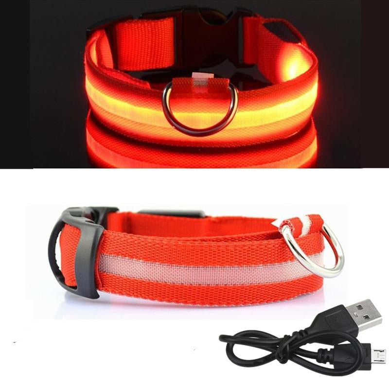 Collier de chien LED