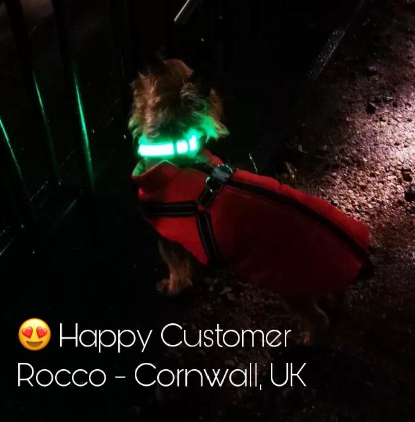 LED Dog Collar