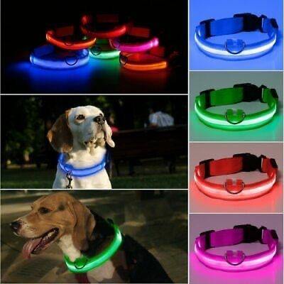 LED Dog Collar