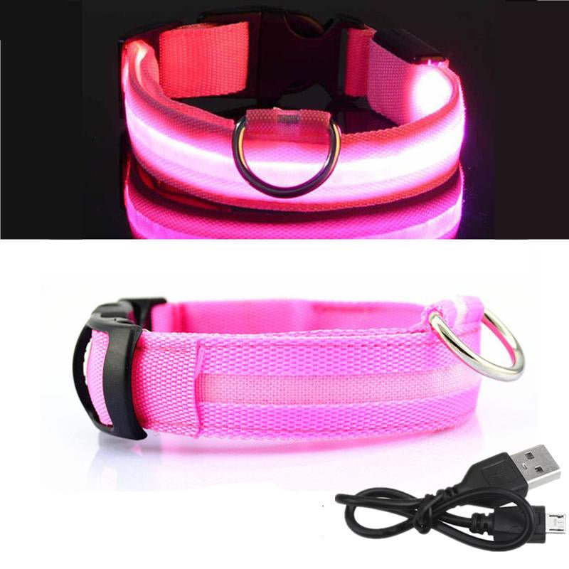 LED Dog Collar