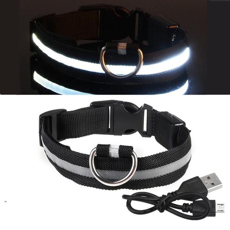 LED Dog Collar