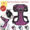 No Pull Dog Harness