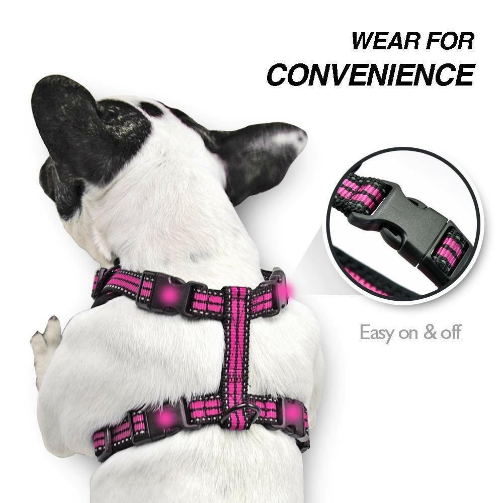 No Pull Dog Harness