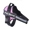 Personalised Dog Harness